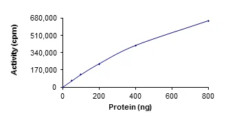 Functional Studies - Recombinant Src protein (GST tag N-Terminus) (AB60884)