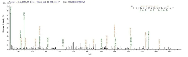 Mass Spectrometry - Recombinant Staphylococcus aureus CHIPS protein (His tag) (AB226270)