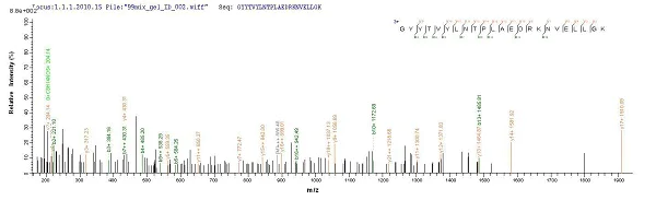Mass Spectrometry - Recombinant Staphylococcus aureus CHIPS protein (His tag) (AB226270)