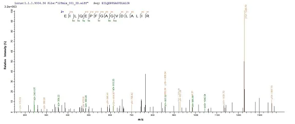 Mass Spectrometry - Recombinant Staphylococcus aureus Exfoliative Toxin A/ETA protein (His tag) (AB236933)