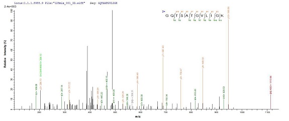 Mass Spectrometry - Recombinant Staphylococcus aureus Exfoliative Toxin A/ETA protein (His tag) (AB236933)