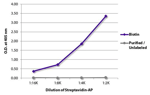 ELISA - Recombinant Streptavidin protein (Alkaline Phosphatase) (AB279314)