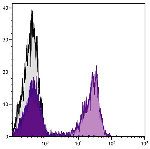 Recombinant Streptavidin protein (APC/Cy7)