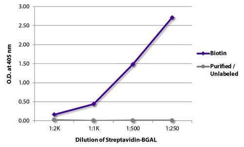 ELISA - Recombinant Streptavidin protein (beta-galactosidase) (AB279316)