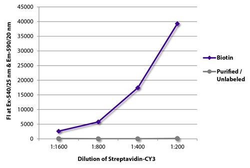ELISA - Recombinant Streptavidin protein (Cy3 ®) (AB279321), expandable thumbnail