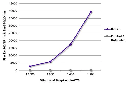 ELISA - Recombinant Streptavidin protein (Cy3 ®) (AB279321)