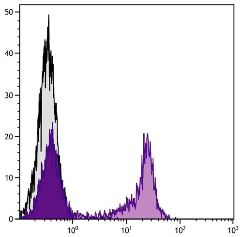 Recombinant Streptavidin protein (FITC)