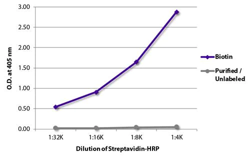 ELISA - Recombinant Streptavidin protein (HRP) (AB279315)