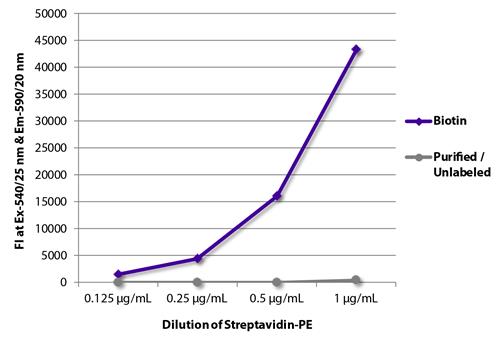 Recombinant Streptavidin protein (PE)