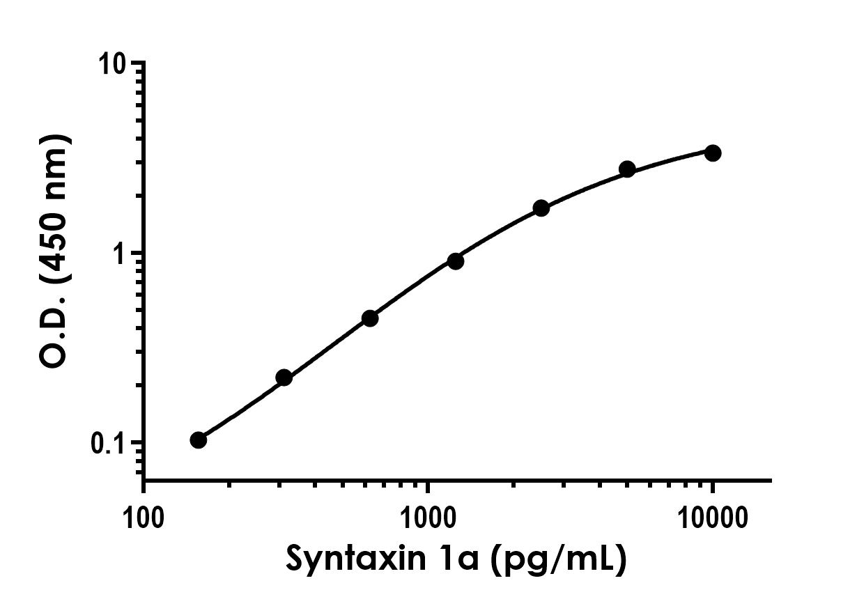 Sandwich ELISA - Recombinant Syntaxin 1a Protein Standard (His tag) (AB316480), expandable thumbnail