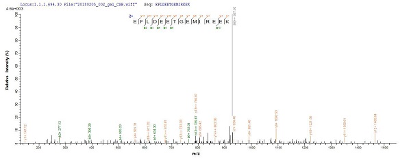Mass Spectrometry - Recombinant UVSX protein (Tagged) (AB237746), expandable thumbnail