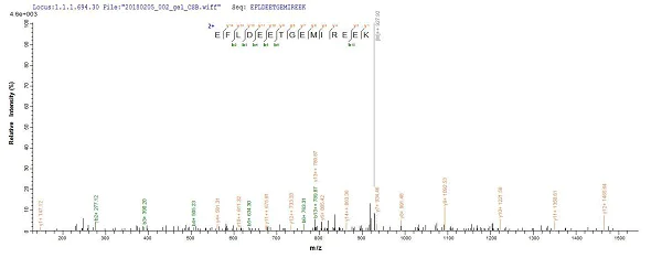 Mass Spectrometry - Recombinant UVSX protein (Tagged) (AB237746)
