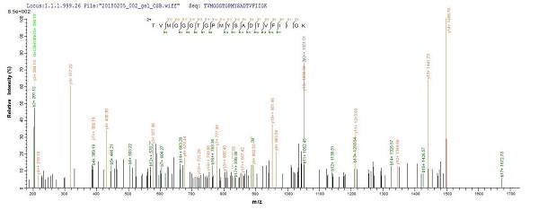 Mass Spectrometry - Recombinant UVSX protein (Tagged) (AB237746), expandable thumbnail