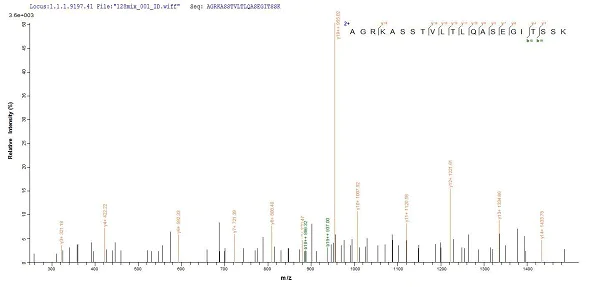 Mass Spectrometry - Recombinant vacA protein (His tag) (AB225655)
