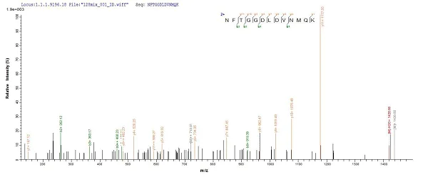 Mass Spectrometry - Recombinant vacA protein (His tag) (AB225655)