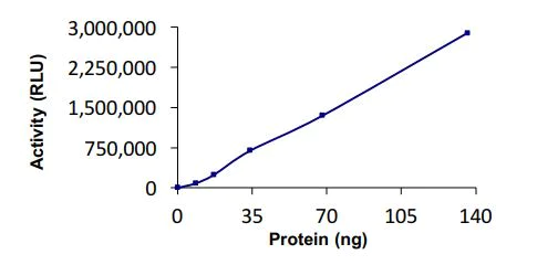 Functional Studies - Recombinant X. laevis UBC4 protein (Active) (AB269097)
