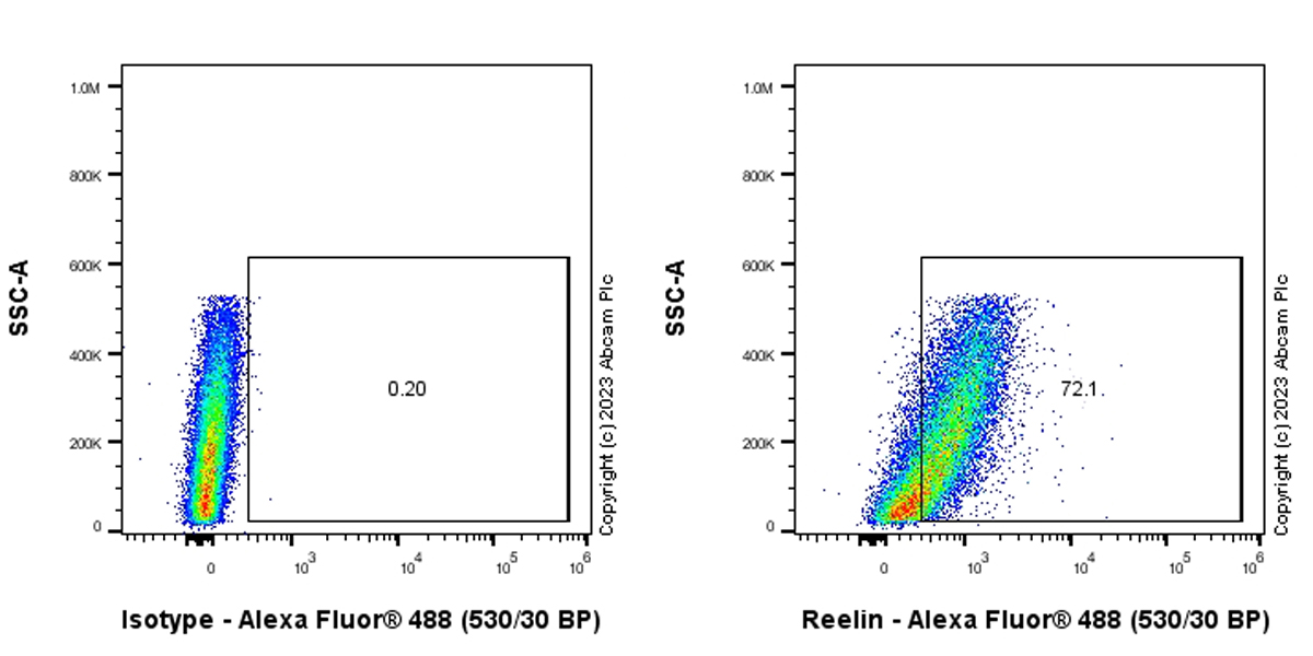 Flow Cytometry (Intracellular) - Anti-Reelin antibody [EPR26278-30] (AB312310), expandable thumbnail