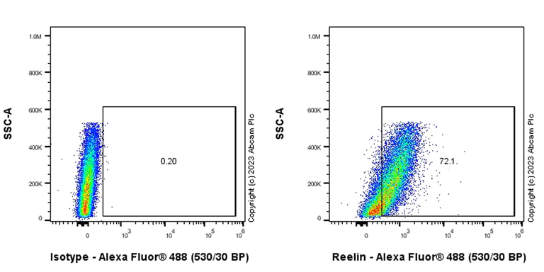 Flow Cytometry (Intracellular) - Anti-Reelin antibody [EPR26278-30] - BSA and Azide free (AB312311)