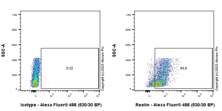 Flow Cytometry (Intracellular) - Anti-Reelin antibody [EPR26278-30] - BSA and Azide free (AB312311)