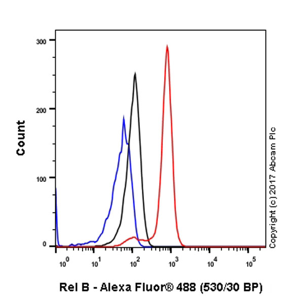 Flow Cytometry (Intracellular) - Anti-Rel B antibody [EP613Y] - BSA and Azide free (AB247280), expandable thumbnail