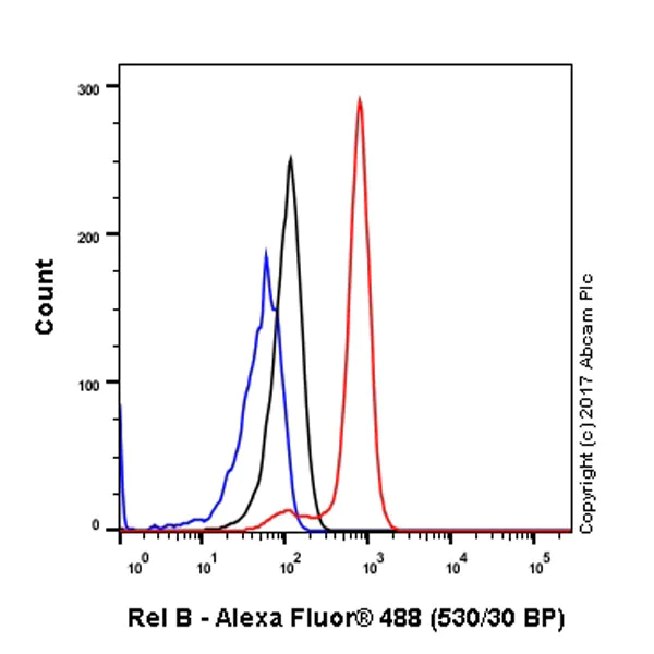 Flow Cytometry (Intracellular) - Anti-Rel B antibody [EP613Y] - BSA and Azide free (AB247280)