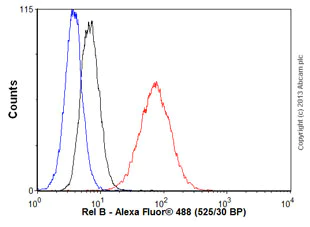 Flow Cytometry (Intracellular) - Anti-Rel B antibody [EP614Y] (AB33907)