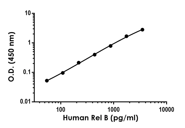ELISA - Anti-Rel B antibody [EPR613-41] - BSA and Azide free (Detector) (AB277672)