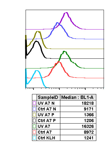 Flow Cytometry - Anti-Rel B (phospho S552) antibody [RelBS552-A7] (AB278710), expandable thumbnail