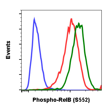Flow Cytometry - Anti-Rel B (phospho S552) antibody [RelBS552-A7] (AB278710), expandable thumbnail
