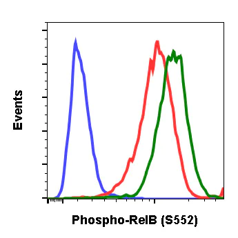 Flow Cytometry - Anti-Rel B (phospho S552) antibody [RelBS552-A7] (AB278710)