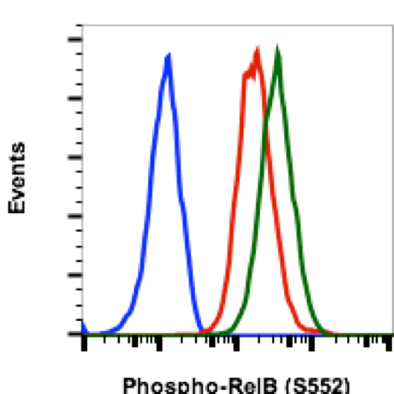 Flow Cytometry - Anti-Rel B (phospho S552) antibody [RelBS552-A7] (AB278710)