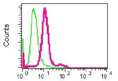 Flow Cytometry (Intracellular) - Anti-Renin antibody [EPR6433] - BSA and Azide free (AB248098)