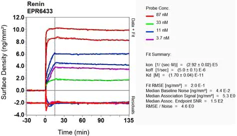 OI-RD Scanning - Anti-Renin antibody [EPR6433] - BSA and Azide free (AB248098)