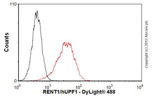 Flow Cytometry (Intracellular) - Anti-RENT1/hUPF1 antibody [EPR4681] (ab109363), expandable thumbnail