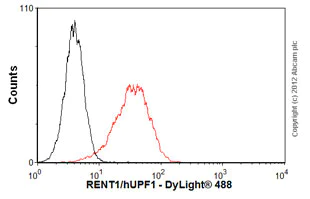 Flow Cytometry (Intracellular) - Anti-RENT1/hUPF1 antibody [EPR4681] (AB109363)