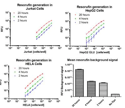 Functional Studies - Resazurin Assay Kit (Cell Viability) (AB129732)