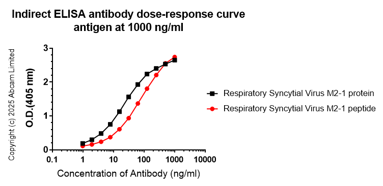 Indirect ELISA - Anti-Respiratory Syncytial Virus M2-1 Protein antibody [EPR28649-58] (AB323319), expandable thumbnail