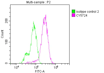 Flow Cytometry (Intracellular) - Anti-Ret antibody [8D12] (AB314165)