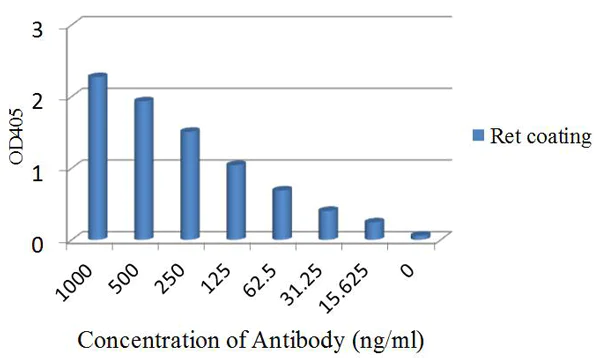 ELISA - Anti-Ret antibody [EPR2871] (AB134100)