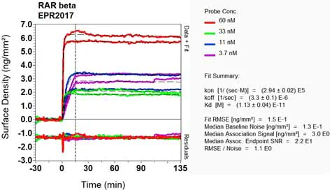 OI-RD Scanning - Anti-Retinoic Acid Receptor beta antibody [EPR2017] (AB124701)