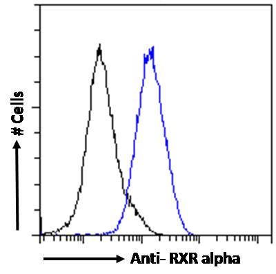 Flow Cytometry (Intracellular) - Anti-Retinoid X Receptor alpha/RXRA antibody (AB24363)