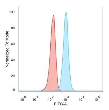 Flow Cytometry - Anti-Retinoid X Receptor beta/RXRB antibody [PCRP-RXRB-2B6] (AB277104)
