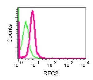 Flow Cytometry (Intracellular) - Anti-RFC2 antibody [EPR12093(B)] (AB174271)