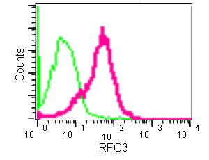 Flow Cytometry (Intracellular) - Anti-RFC3 antibody [EPR14214] (AB182143)