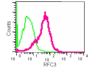 Flow Cytometry (Intracellular) - Anti-RFC3 antibody [EPR14214] - BSA and Azide free (AB250585)