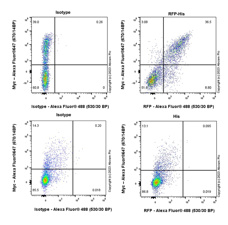 Flow Cytometry (Intracellular) - Anti-RFP antibody [EPR28246-45] - BSA and Azide free (AB314226)