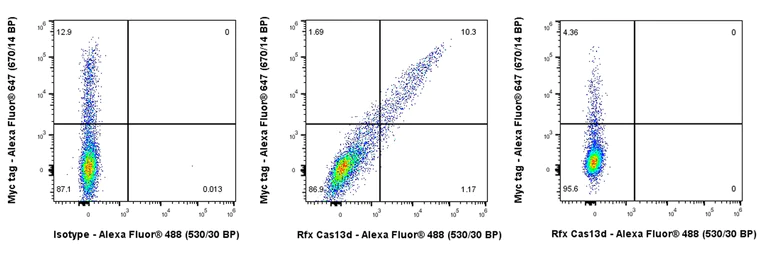 Flow Cytometry (Intracellular) - Anti-Rfx Cas13d (N-term) antibody [EPR23965-31] (AB314741)