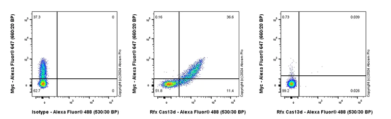 Flow Cytometry (Intracellular) - Anti-Rfx Cas13d (N-term) antibody [EPR23965-31] - BSA and Azide free (AB314742)