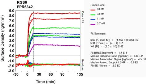 OI-RD Scanning - Anti-RGS6 antibody [EPR6342] - BSA and Azide free (AB248237)