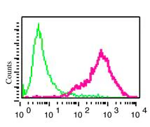 Flow Cytometry (Intracellular) - Anti-RGS9 antibody [EPR2873] (AB108975)